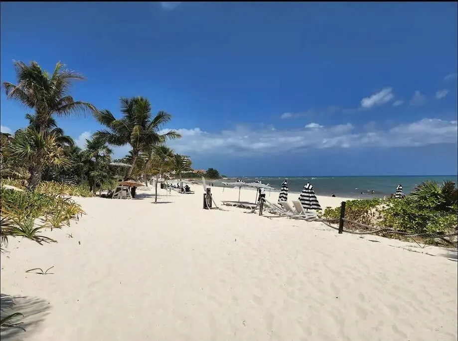Oceanfront Walkout Pool Mareazul La Casa Bonita Lejlighed Playa del Carmen